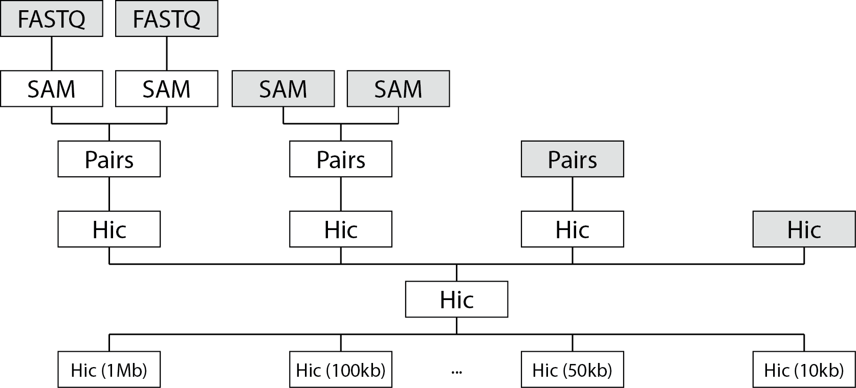 ../../_images/fanc-auto-schematic.png